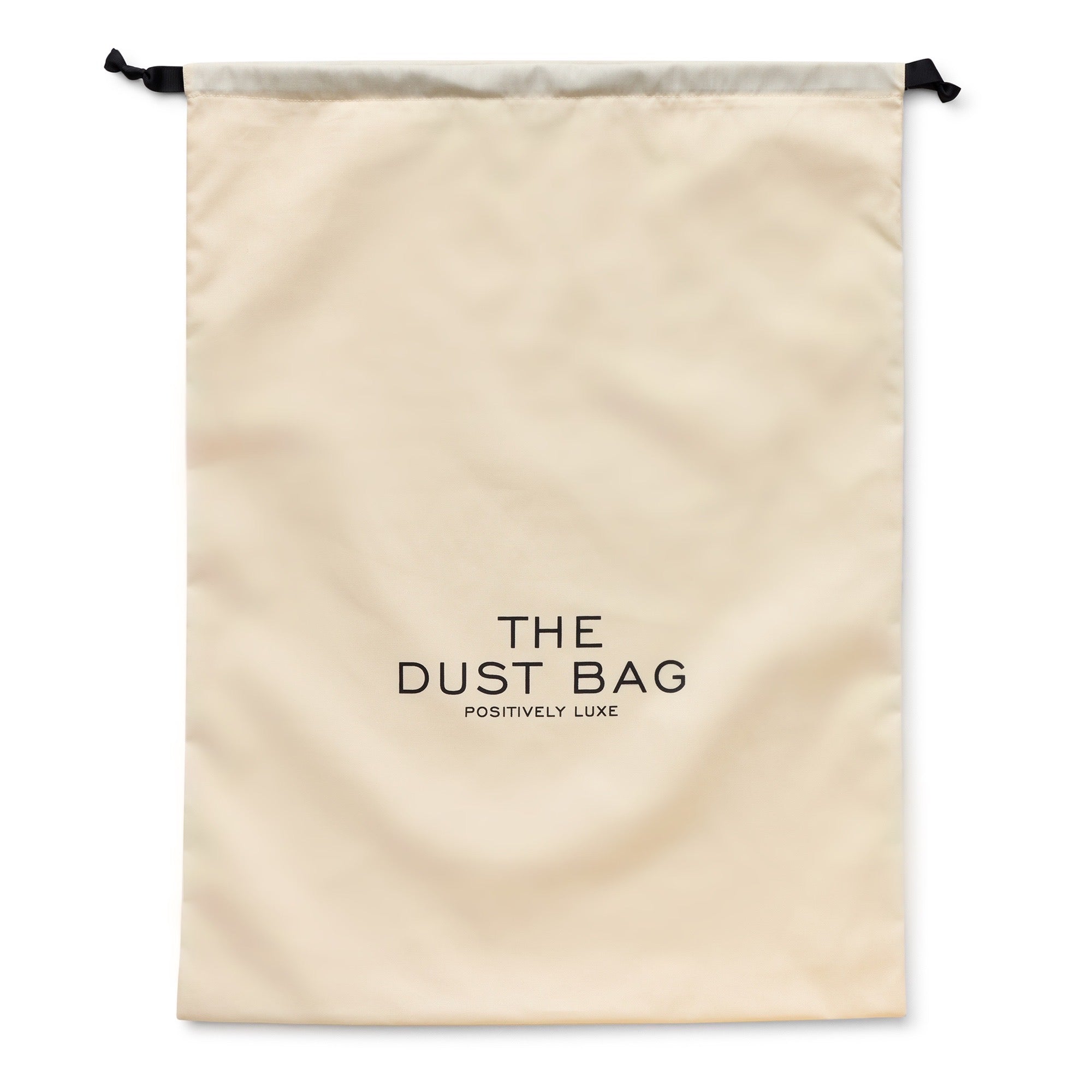 large dust bags for storage